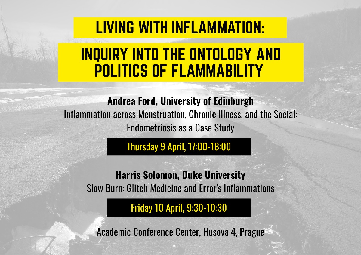 Living with Inflammation: Inquiry into the Ontology and Politics of Flammability