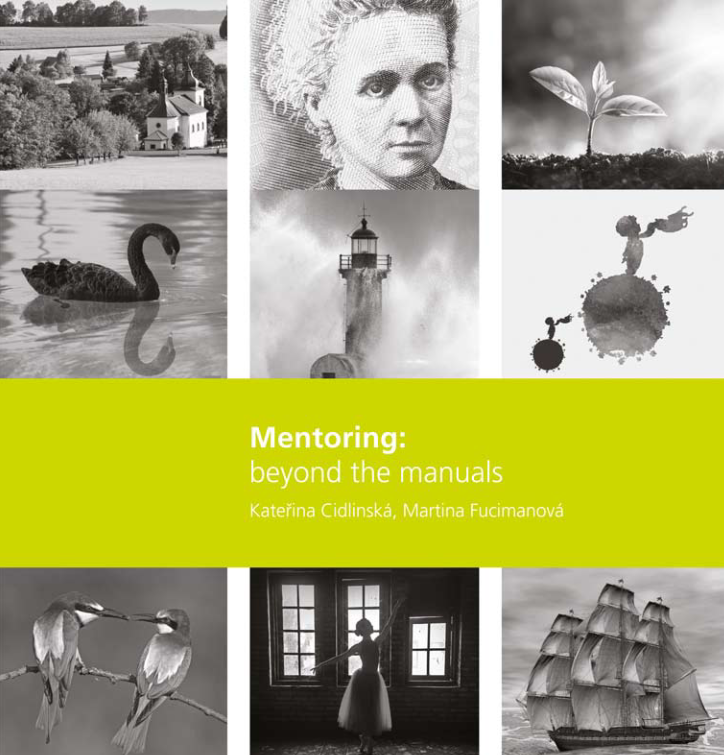 Mentoring: beyond the manuals