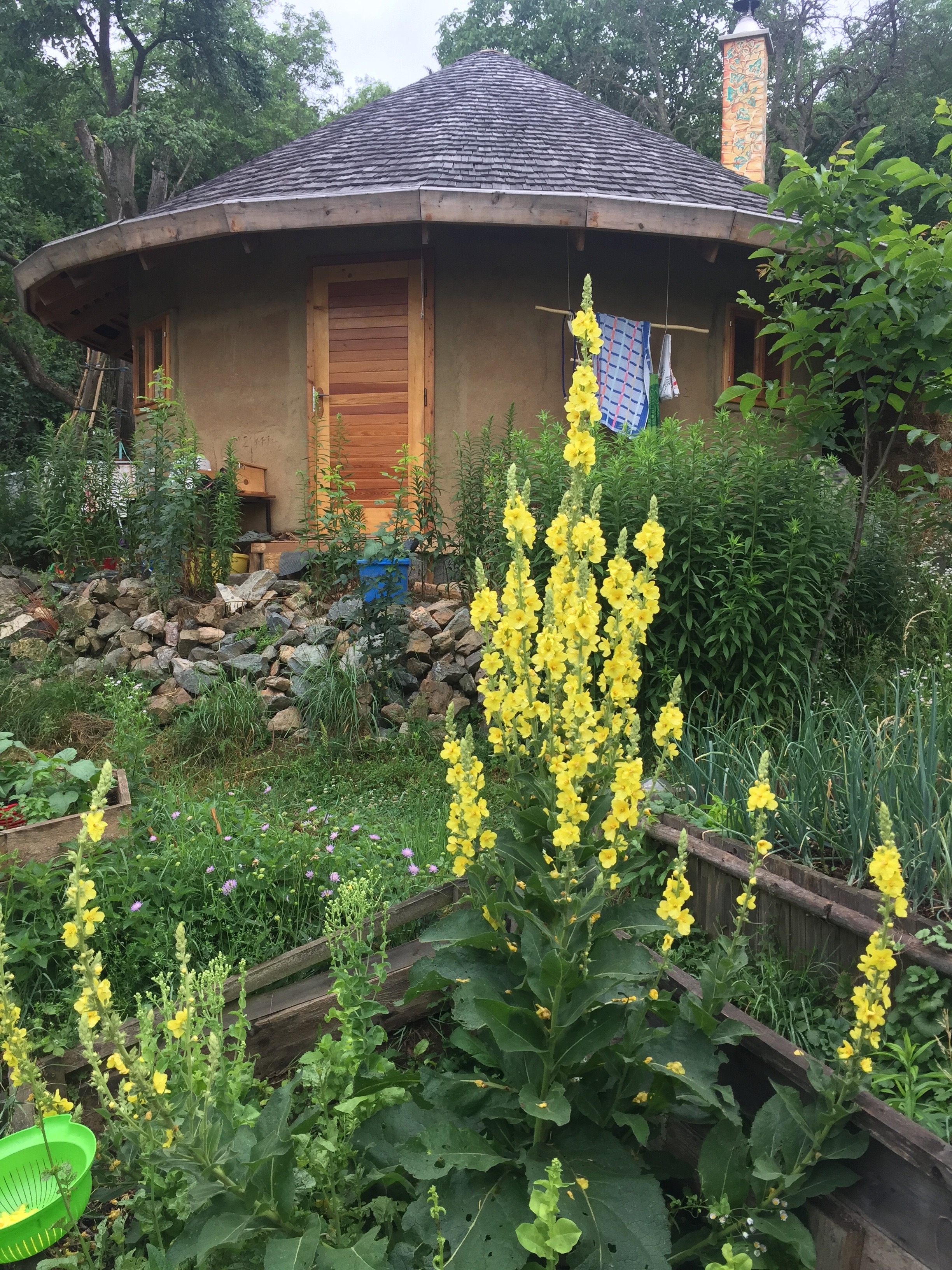 Permaculture and back‐to‐the‐land migration: Pursuing self‐sufficiency in Czech rural areas