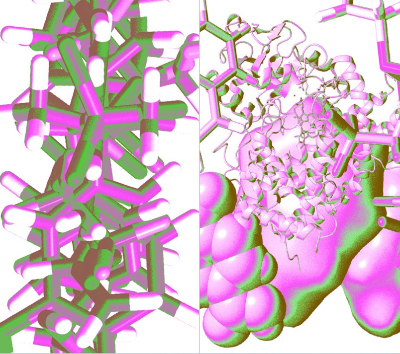 Herbář druhé sklizně: Čím se stávají léčivé rostliny v době průmyslové toxicity?
